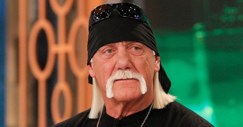 Hulk Hogan Makes an Emergency Landing in Iceland, Plus More Celebs Who've Shared Their Scary Plane Stories