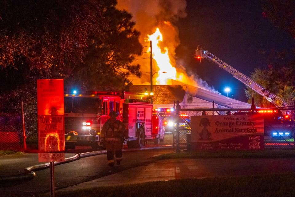 Dozens of dogs were safe and dozens of cats are feared dead after a fire at the Pet Alliance of Greater Orlando on Conroy Road.