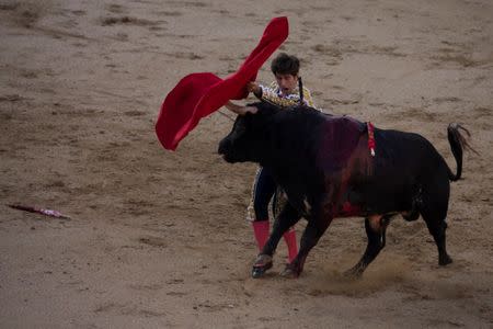 Alberto Lamelas performs a pass as he takes part in a bullfighting during San Isidro festival at Las Ventas bullring in Madrid, Spain, June 5, 2017. REUTERS/Sergio Perez