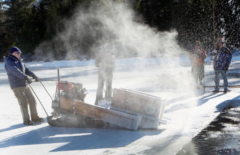 Carl Hansen uses a custom designed circular saw to cut into more than a foot thick of ice in Squaw Cove on Squam Lake Thursday Jan. 9, 2014 in Sandwich, N.H. More than 3,500 blocks of ice will be taken from the lake and used to cool ice boxes for residents in the summer at the Rockywold-Deephaven Camp. (AP Photo/Jim Cole)