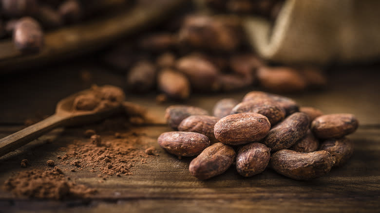 cocoa beans and cocoa powder on spoon