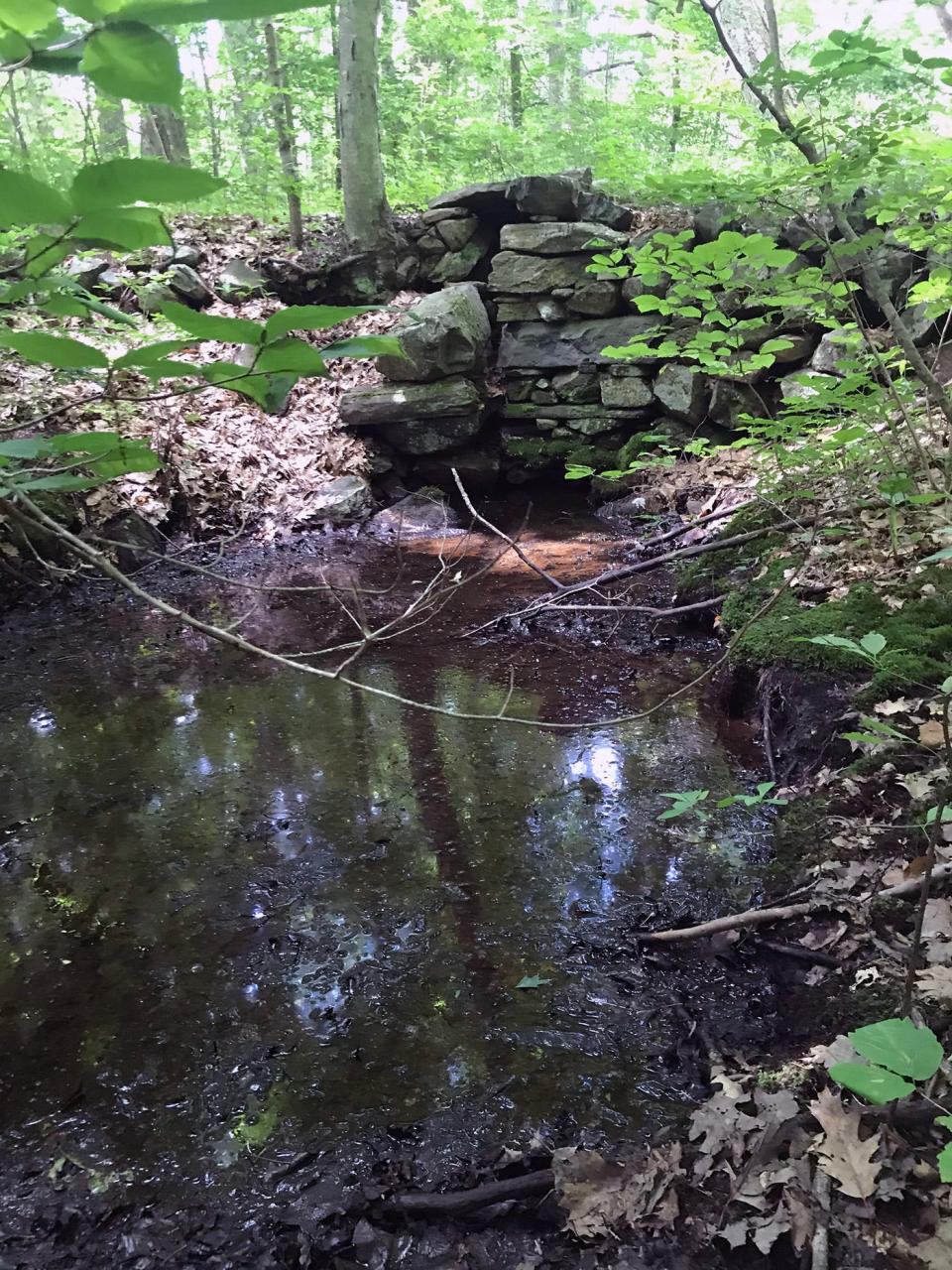 Farmers built a stone bridge and dam with a gate that could be closed to block a stream and flood a natural cranberry bog.