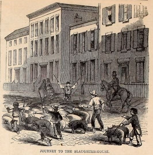 An illustration of the “Journey to the Slaughterhouse,” depicting pigs being herded through the streets of Cincinnati, was published in Harper’s Weekly, Feb. 4, 1860.
