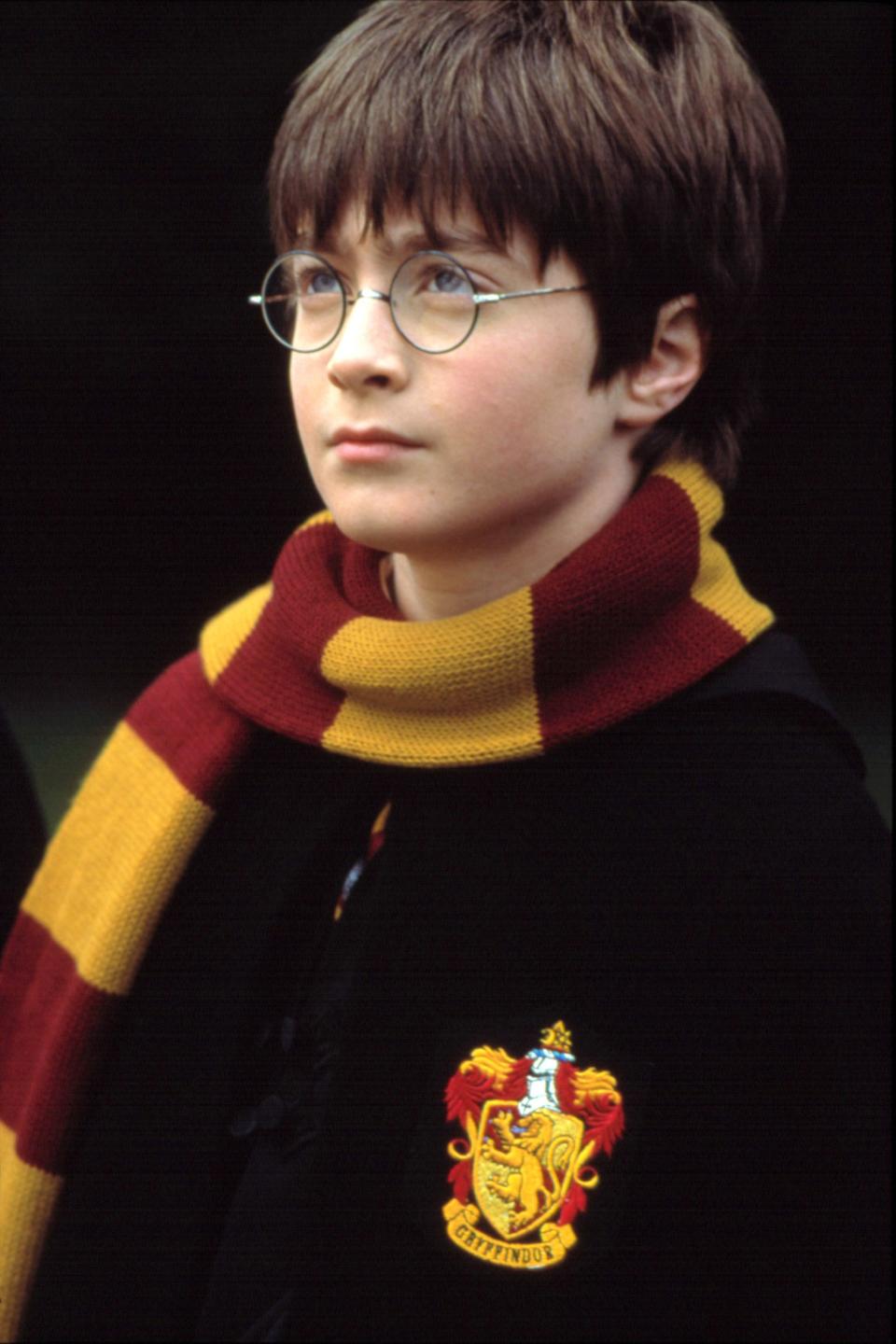 Harry Potter in Gryffindor school robes and a striped scarf, looking determined