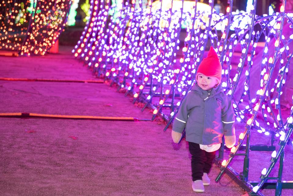 A young attendee enjoys the holiday light displays with more than one million lights illuminating the gardens of The North Carolina Arboretum in Asheville, N.C.