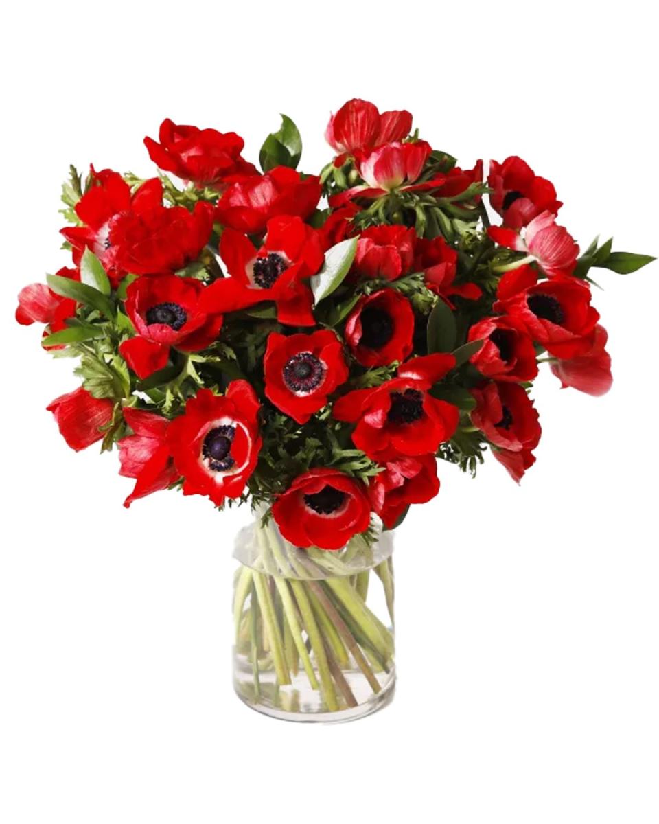 <p><a href="https://go.redirectingat.com?id=74968X1596630&url=https%3A%2F%2Furbanstems.com%2Fproducts%2Fflowers%2Fdouble-the-carmine%2FFLRL-D-00178.html&sref=https%3A%2F%2Fwww.oprahdaily.com%2Fstyle%2Fg42559371%2Fthe-o-list-valentines-day-edition%2F" rel="nofollow noopener" target="_blank" data-ylk="slk:Shop Now;elm:context_link;itc:0;sec:content-canvas" class="link ">Shop Now</a></p><p>Double The Carmine Bouquet</p><p>urbanstems.com</p><p>$135.00</p>