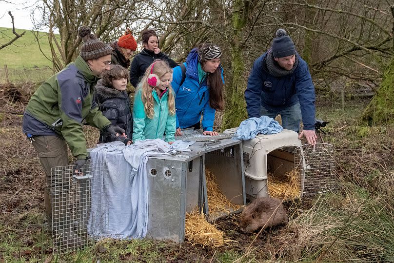 Beaver Trust