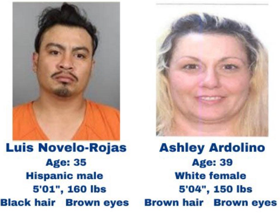 Luis Novelo-Rojas and Ashley Ardolino are being sought in connection to an Amber Alert for 2-month-old Elsy Ardolino, who is considered missing and endangered.