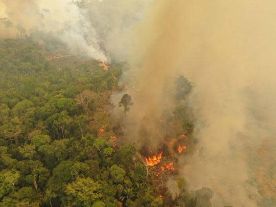 A fire burning in Porto Velho, Brazil, one of the world's oldest and most diverse tropical ecosystems and one of the most endangered on the planet (Michael Dantas/WWF/PA Wire)