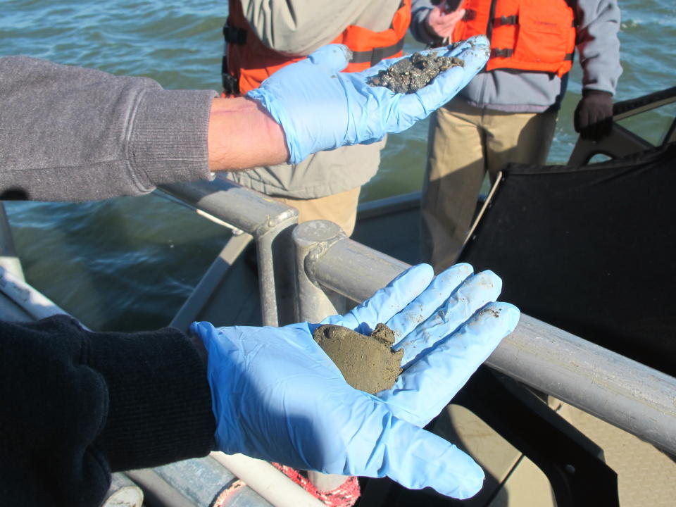 Sediment samples from the floor of the harbor in Charleston, S.C., are seen on on Friday, Nov. 9, 2012, aboard a boat in the harbor. The upper sample comes from near the harbor floor, the other, more compacted comes from several feet lower. The samples are required for a study of a $300 million deepening of the harbor shipping channel so it can handle larger container ships. (AP Photo/Bruce Smith).