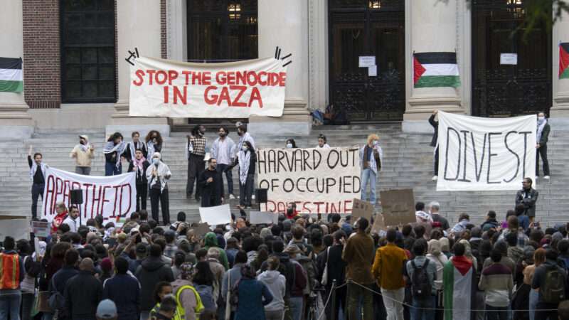 Pro-Palestine protest at Harvard