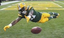 <p>Green Bay Packers wide receiver Geronimo Allison (81) is not able to catch a pass in the endzone in the first quarter during the game against the Tampa Bay Buccaneers at Lambeau Field. Mandatory Credit: Benny Sieu-USA TODAY Sports </p>