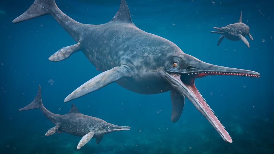 3D science rendering of an Ichthyosaur stenopterygius, large extinct marine reptiles from Early Triassic to Late Cretaceous.