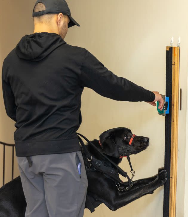 Angel, a veteran, and Bane, a dog from Operation Delta Dog