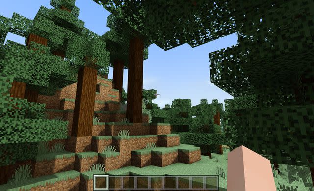 <p>Microsoft</p> An image from the video game Minecraft