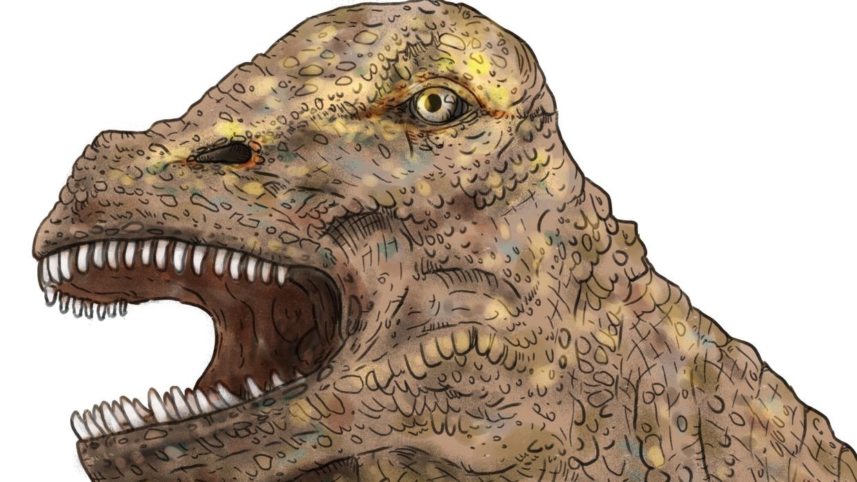  an illustration of a dinosaur's head. It has yellowish eyes; bumpy beige and yellow skin; and pointed teeth shown in its open mouth 