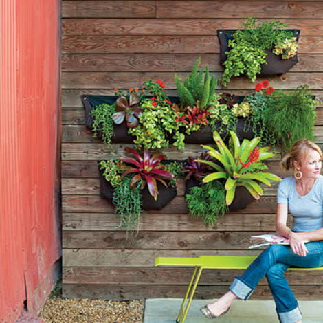 Woolly pocket wall garden