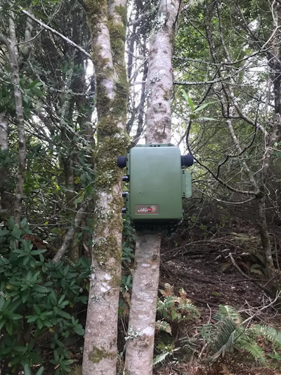 A green box tied to a tree in the forest.