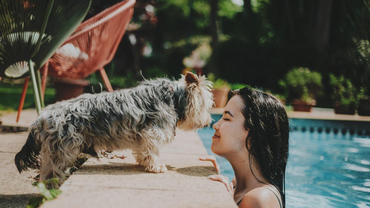 Dog sitting with owner next to the pool