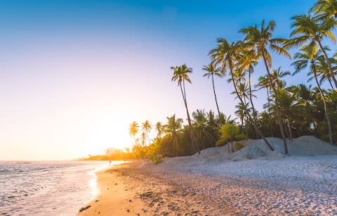 Caribbean beach - Credit: Getty