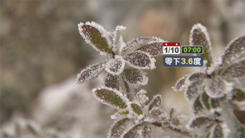 無敵雪景就在太平山 遊客驚呼一秒到北海道