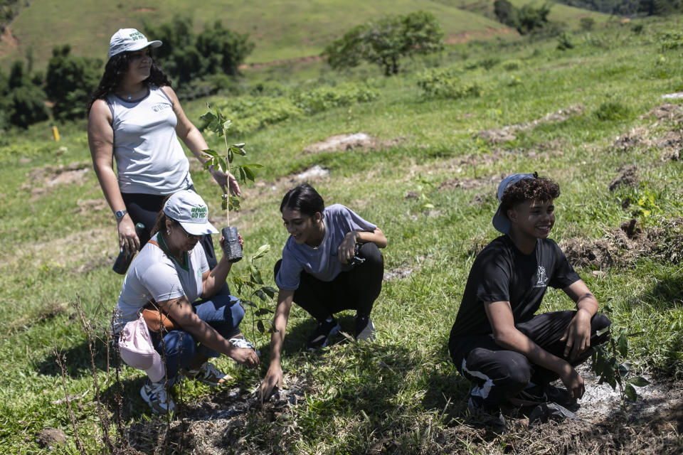 Students participate in the planting of tree seedlings that will form an ecological corridor to allow a safe passageway for the region's most emblematic and endangered species: the golden lion tamarin. in the rural interior of Rio de Janeiro, Silva Jardim, Brazil, Thursday, Nov. 9, 2023. (AP Photo/Bruna Prado)