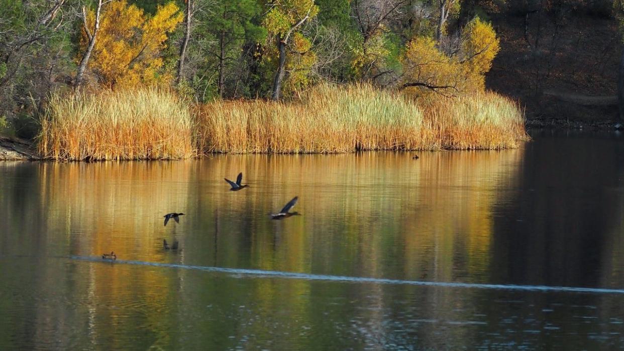 <div>Stunning shot of Lynx Lake by Karen Shaw!</div>