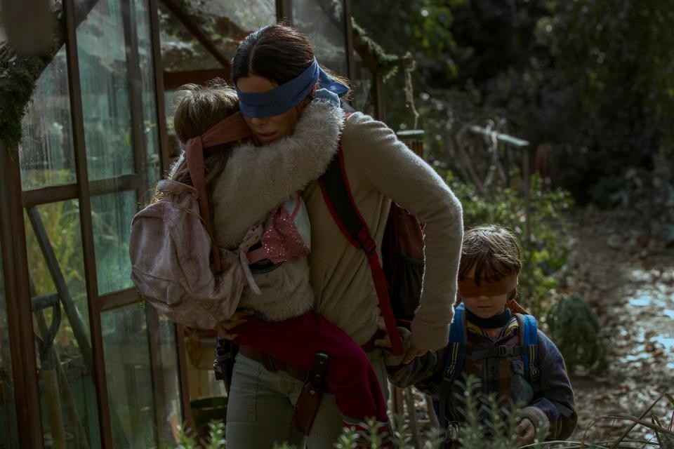 33) Bird Box