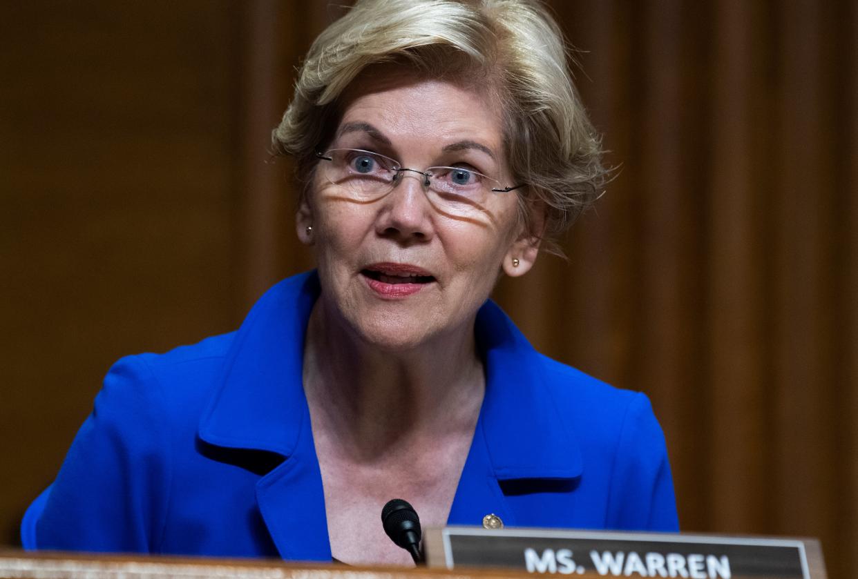Senator Elizabeth Warren questions IRS Commissioner Charles Rettig during a Senate Finance Committee hearing 8 June 2021 (Getty Images)