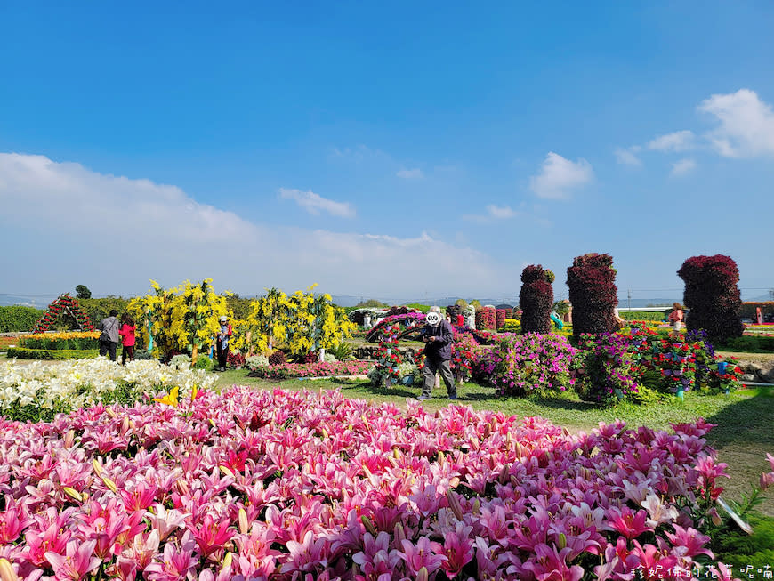 台中后里｜中社觀光花市