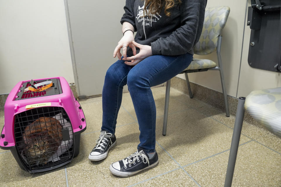 Jennie Anne Simson talks to veterinary staff about the foster cat Lynx during a consultation at the Schwarzman Animal Medical Center, Friday, March 8, 2024, in New York. (AP Photo/Mary Altaffer)