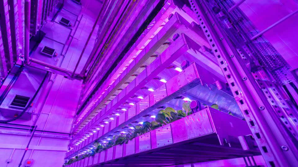 The growth towers employ hydroponics and LED lights to grow plants indoors. - Intelligent Growth Solutions (IGS)