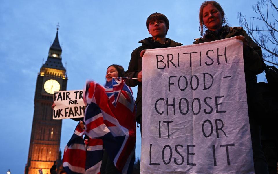 Farmers and their supporters gather near the Houses of Parliament