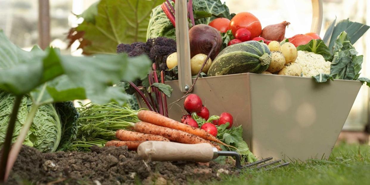 Carrot, Vegan nutrition, Whole food, Local food, Food, Produce, Natural foods, Root vegetable, Vegetable, Ingredient, 