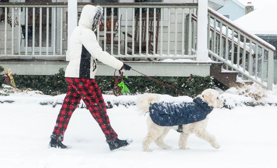 Allison Walker, from Yardley, walks with her Goldendoodle, Tucker, along E. College Ave. as snow continues to fall in Yardley on Friday, Jan. 19, 2024.

Daniella Heminghaus | Bucks County Courier Times