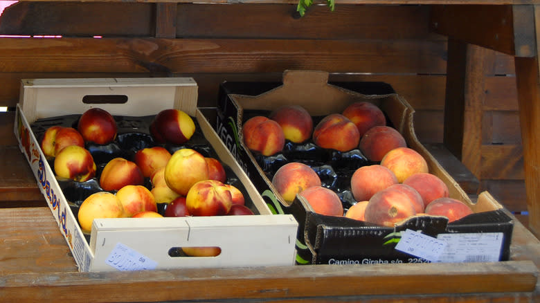 Corsica peaches in boxes
