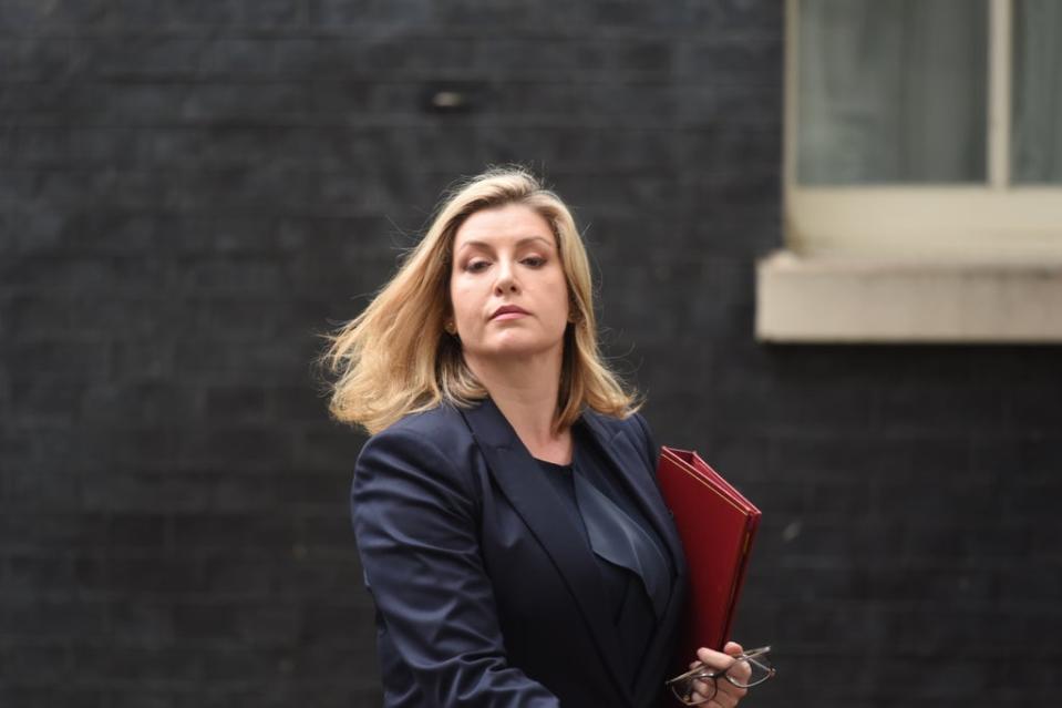 Penny Mordaunt described the claims as a ‘false narrative’ (David Mirzoeff/PA) (PA Archive)