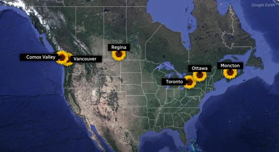 White said six airports in Canada, in addition to Moncton, have the sunflower program — Vancouver, Calgary, Toronto, Ottawa, Comox Valley, B.C., and Regina. 