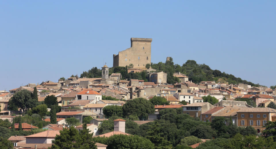 The historic castle ruins above the village in Châteauneuf-du-Pape.<p>CC0</p>