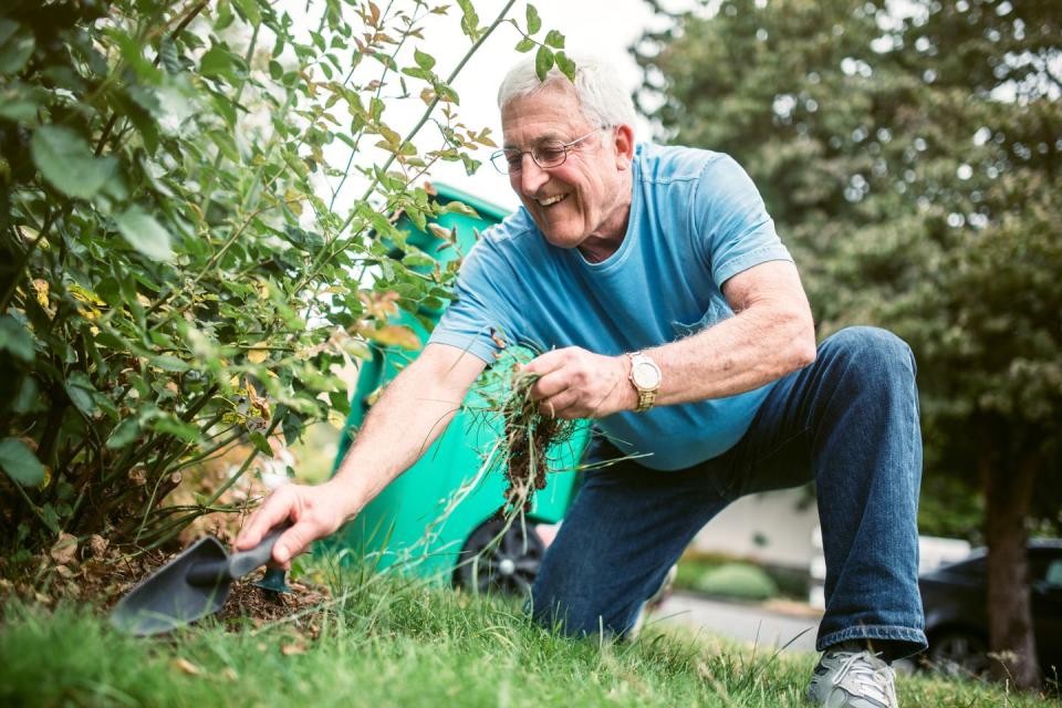 senior adult man doing yardwork