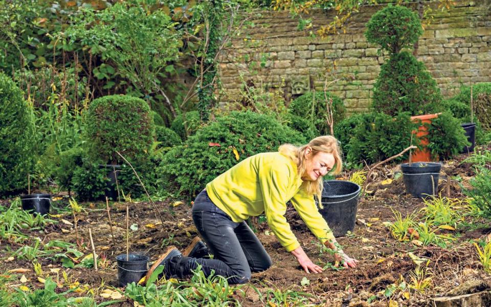 why winter is the best time to experiment in the garden how to cold weather uk 2021 - Andrew Crowley