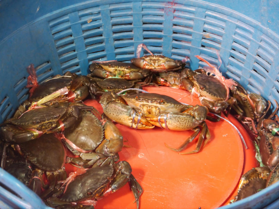 A basket of crabs