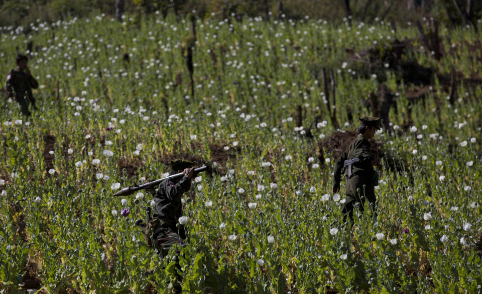 CORRECTS NAME OF THE GROUP, FILE - Ta’ang National Liberation Army officers, one with a rocket-propelled grenade launcher on his shoulder, walk through a poppy field blossoming with flowers close to Loi Chyaram village, a Taang self-governing area in northern Shan state, Myanmar, Jan. 30 2014. Myanmar, already wracked by a brutal civil war, has now also regained the unenviable title of world’s biggest opium producer, according to a U.N. agency report released Tuesday, Dec. 12, 2023. (AP Photo/Gemunu Amarasinghe, File)