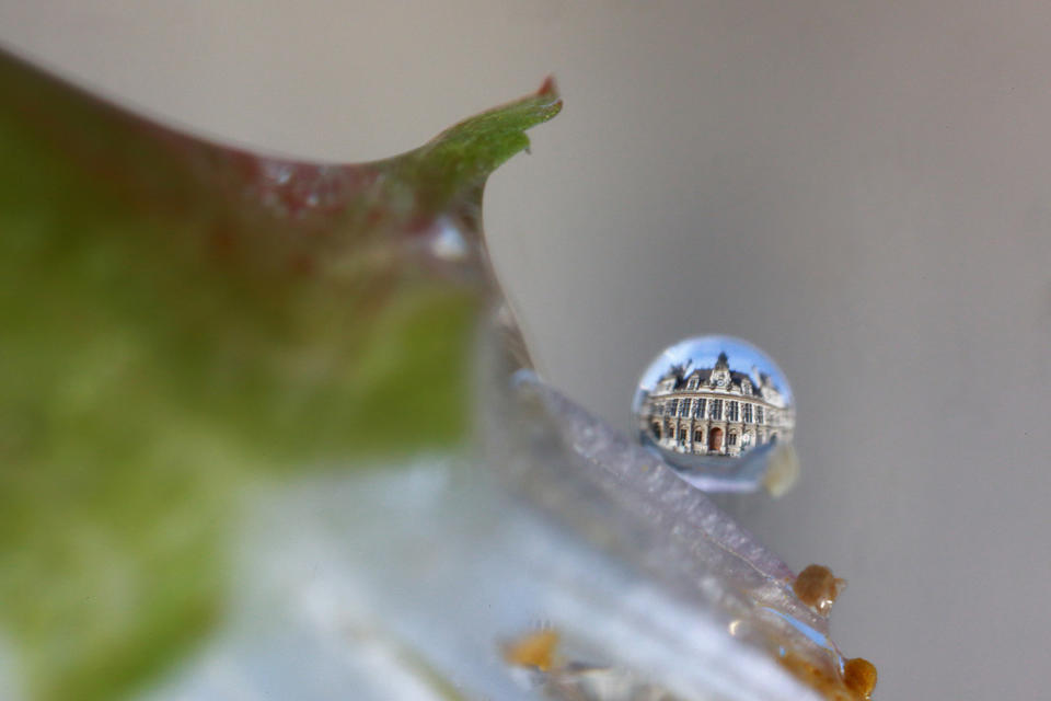 Photographer captures ‘Tears of Paris’ showing iconic monuments through water droplets