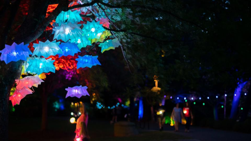 FLOW Tuscaloosa, a cross-disciplinary group seeking to inspire caretaking for the Black Warrior River and other waterways through art projects, held a number of paper-lantern-making workshops, leading to the May 21 lantern parade along the Riverwalk.