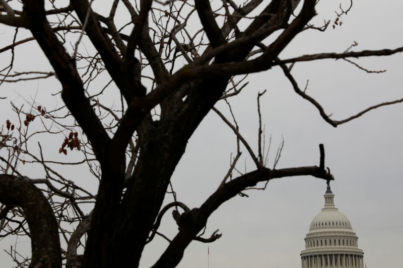 The U.S. Capitol seen ahead of House of Represenatives' transfer of articles of impeachment against U.S. President Trump to the U.S. Senate in Washington