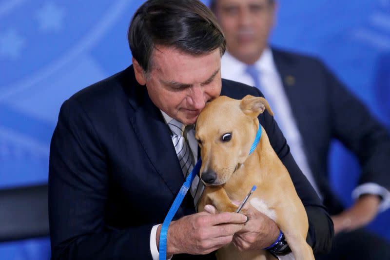 FILE PHOTO: Brazil's President Jair Bolsonaro holds his dog 'Nestor' during a sanction ceremony of the law for the defense of animals