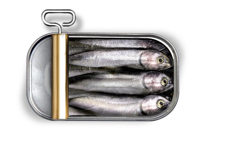 <span class="caption">Reducing aggression in a tin.</span> <span class="attribution"><a class="link " href="https://www.shutterstock.com/image-photo/can-sardines-746391478?src=rKY3xbYIqn7bpqu3IiKR3g-1-0" rel="nofollow noopener" target="_blank" data-ylk="slk:Shutterstock;elm:context_link;itc:0;sec:content-canvas">Shutterstock</a></span>