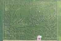 <p>We can't get over the stunning artistry of <a href="http://www.heartlandcountrycornmaze.com/" rel="nofollow noopener" target="_blank" data-ylk="slk:Heartland Country Corn Maze;elm:context_link;itc:0;sec:content-canvas" class="link ">Heartland Country Corn Maze</a>'s 2019 design: an elephant and her young! This 11-acre maze features 10 checkpoints, a free treat from a "Concession Barn," and tons of beautiful, towering corn stalks to admire. </p><p><a class="link " href="https://go.redirectingat.com?id=74968X1596630&url=https%3A%2F%2Fwww.tripadvisor.com%2FTourism-g54631-Harrisburg_South_Dakota-Vacations.html&sref=https%3A%2F%2Fwww.countryliving.com%2Flife%2Ftravel%2Fg22717241%2Fcorn-maze-near-me%2F" rel="nofollow noopener" target="_blank" data-ylk="slk:PLAN YOUR TRIP;elm:context_link;itc:0;sec:content-canvas">PLAN YOUR TRIP</a></p>