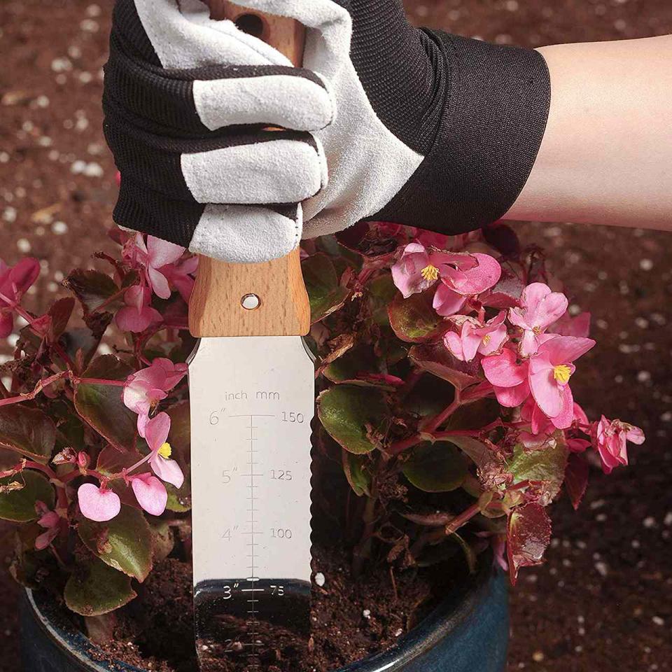 stainless steel gardening knife pot of pink flowers